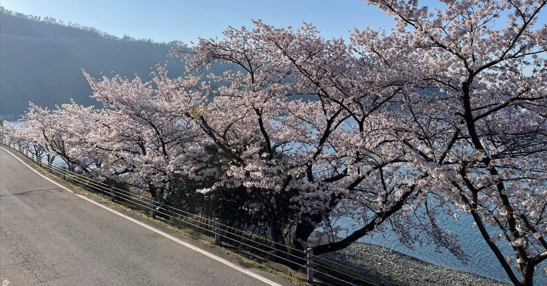 超久しぶりに奥琵琶湖に行ってきた｜Hirokazu Nishi