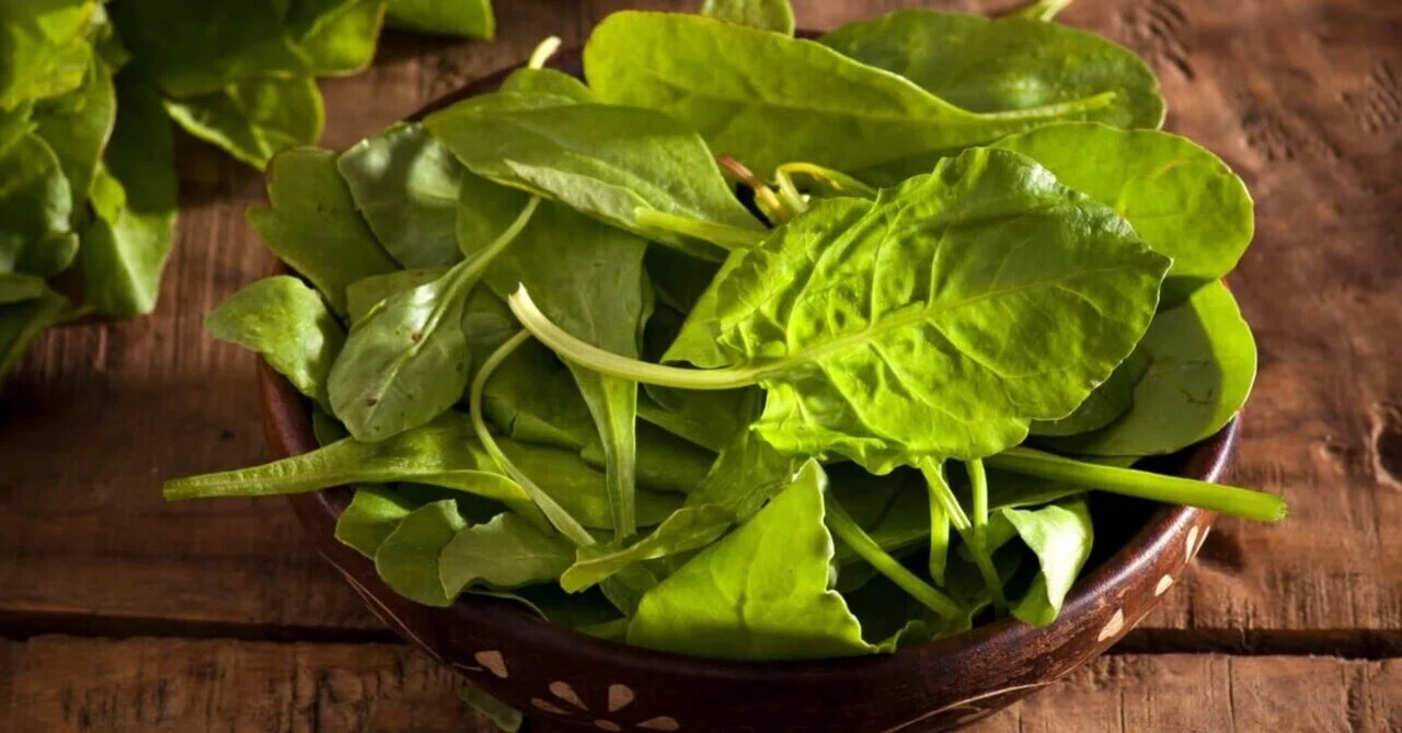 最新｜毎日「緑の葉物野菜」1カップの摂取が心臓病死亡リスクを劇的に下げる