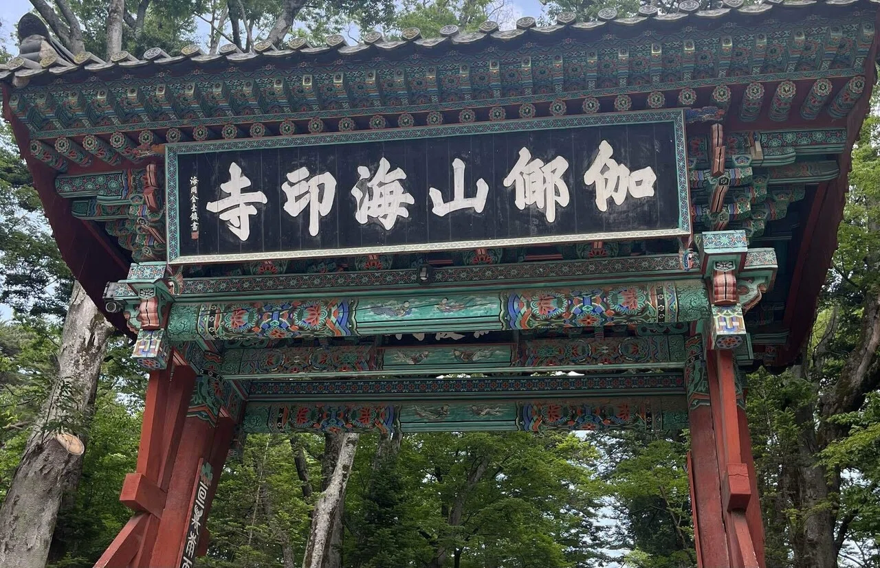 釜山ワーホリ51】海印寺（ヘインサ/해인사）テンプルステイ｜【韓国