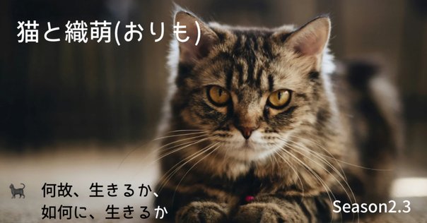 好奇心は猫を殺すかDOGDAYオフィシャルガイド Amazon.com: Wagahai wa neko de aru: 9784101010014: Natsume