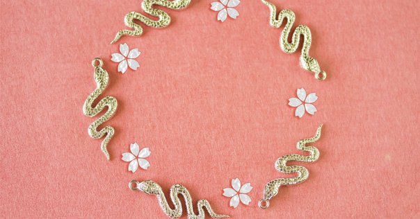 白蛇の脱け殻❤干支❤巳年❤超美品❣️しかも‼️妊婦さん❣️ 巳年の蛇にはまだ出会っていない｜柊龍司