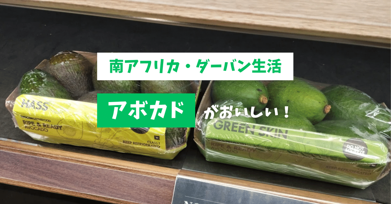 南アフリカのアボカドがおいしい｜Murakami Miku / 南アフリカ🇿🇦