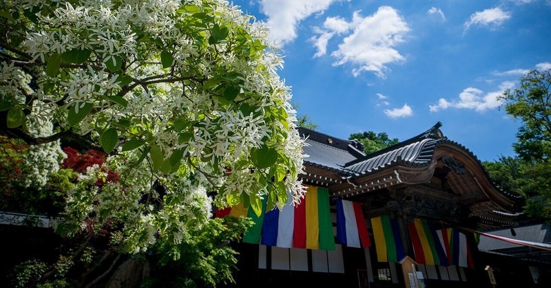 祈りのかたち、心の旅｜Toshiaki Shimazaki（しま3）｜note