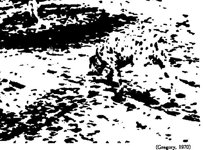 図と地の関係 図は地によって活かされる 黒田悠介 ライフピボット 重版 議論メシ Note 図と地の関係 図は地によって活かされる 黒田悠介 ライフピボット 重版 議論メシ Note