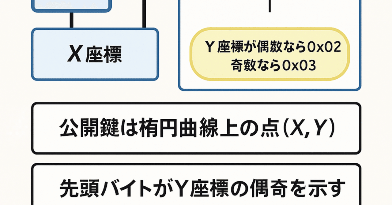 ブロックチェーンの裏側：ECDSA（secp256k1）公開鍵の先頭バイトとは