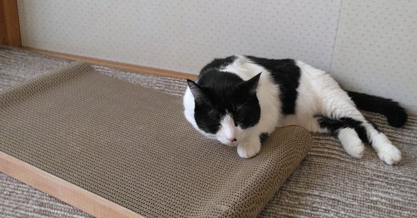 今週のPICK UPリクエスト】エドワード・グリフィン『マネーを