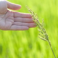Lbの効率よい振り方 すてらん Note Lbの効率よい振り方 すてらん Note