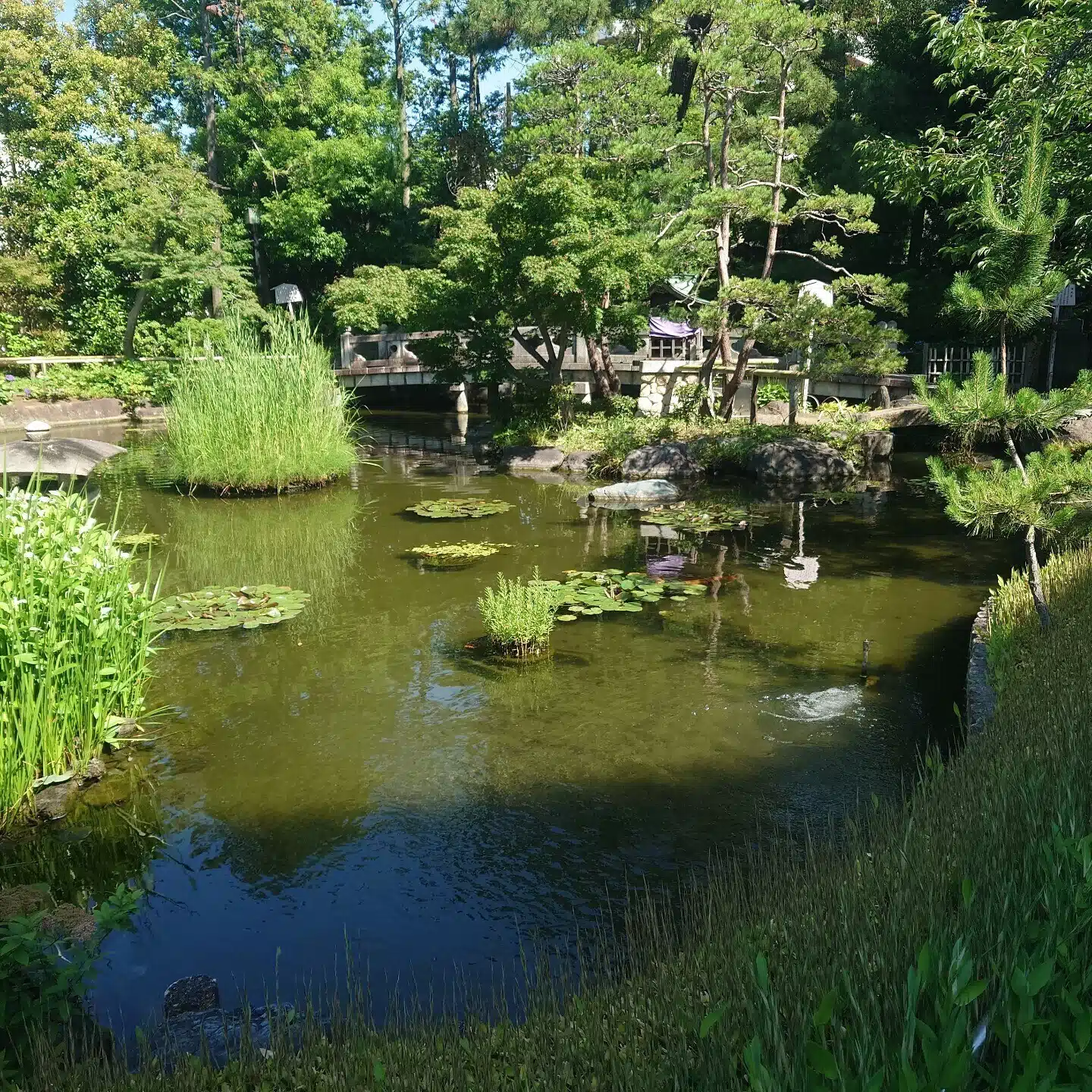 40代疲弊サラリーマン