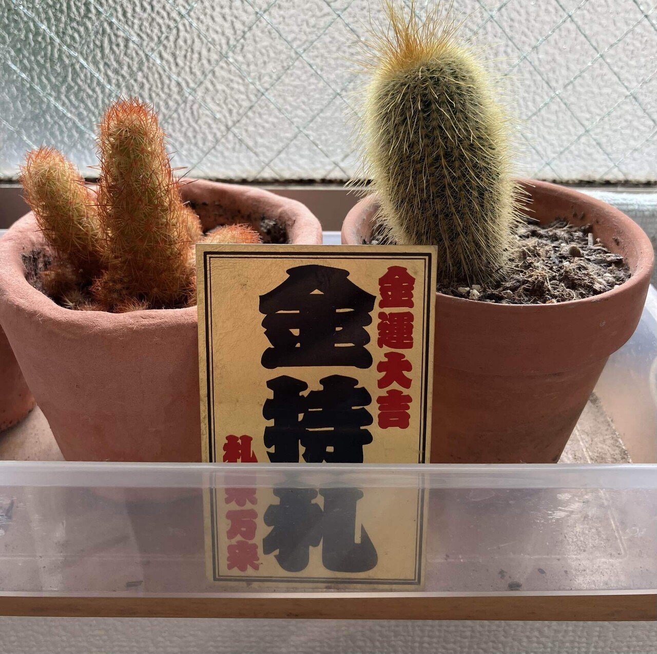 【白光の戦士】斎藤一人 劇レア 金カード 金札 銀座まるかん 白光の戦士】斎藤一人 劇レア 金カード 金札 銀座まるかん - メルカリ