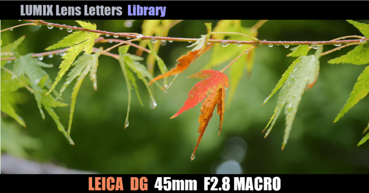LEICA DG MACRO-ELMARIT 45mm / F2.8 ASPH. / MEGA O.I.S.