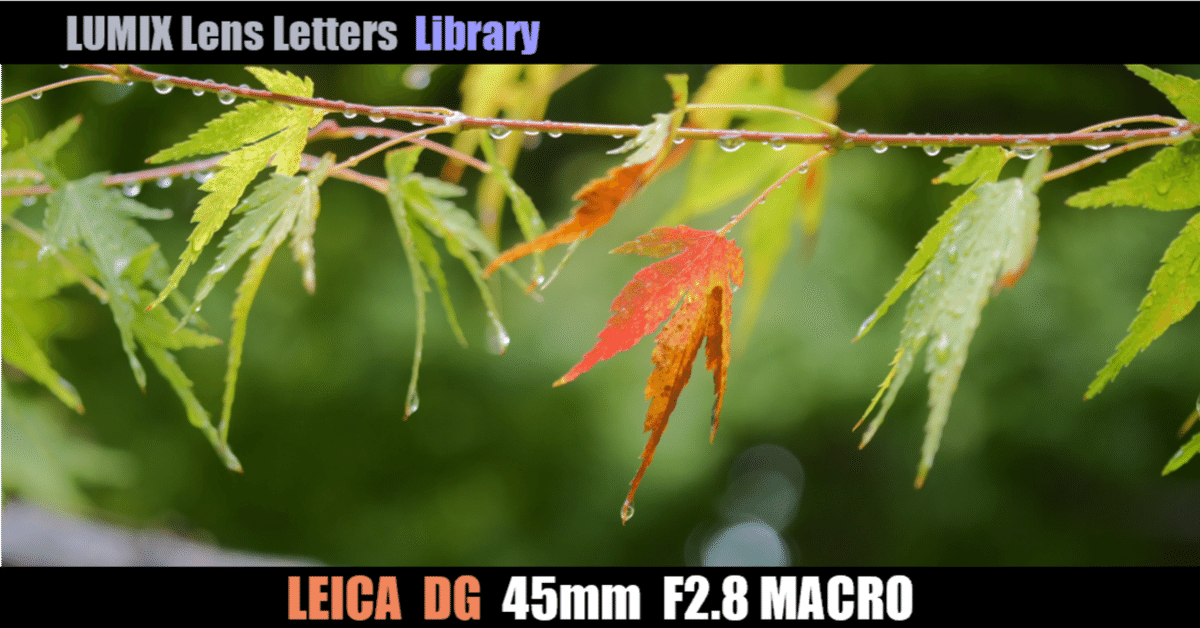 【値下げ】LUMIX LEICA DG 45mm F2.8 ルミックス ライカ Amazon | パナソニック ルミックス G ライカ DG マクロ エルマー