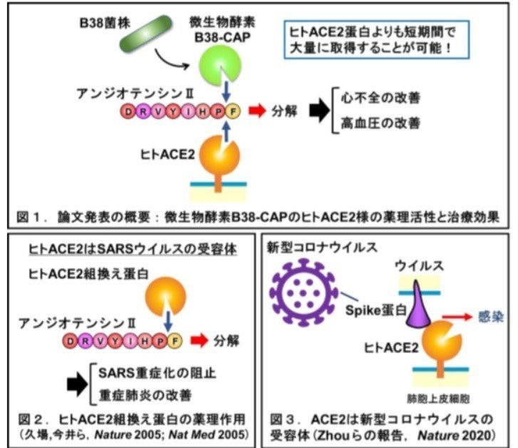 B38-CAP資料