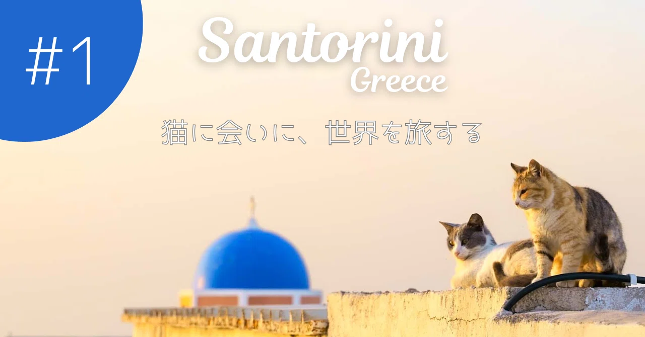 猫に会いに、世界を旅する 01｜ギリシャ・サントリーニ島（2019年）ー 