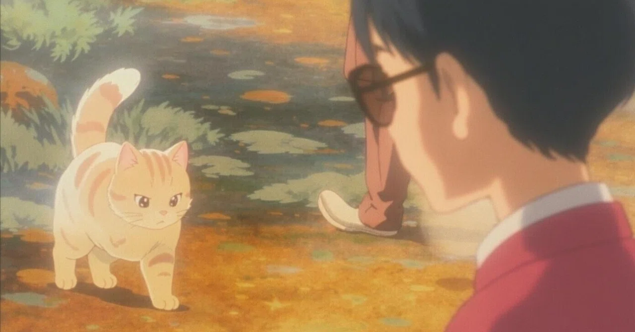 The cat walking along seemed to have more of a destination than the ...