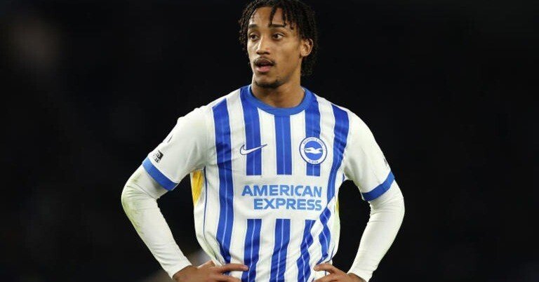 533eab1fe40685e61b5b8084023e35