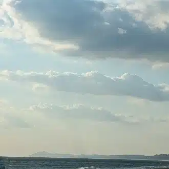 ふくふく