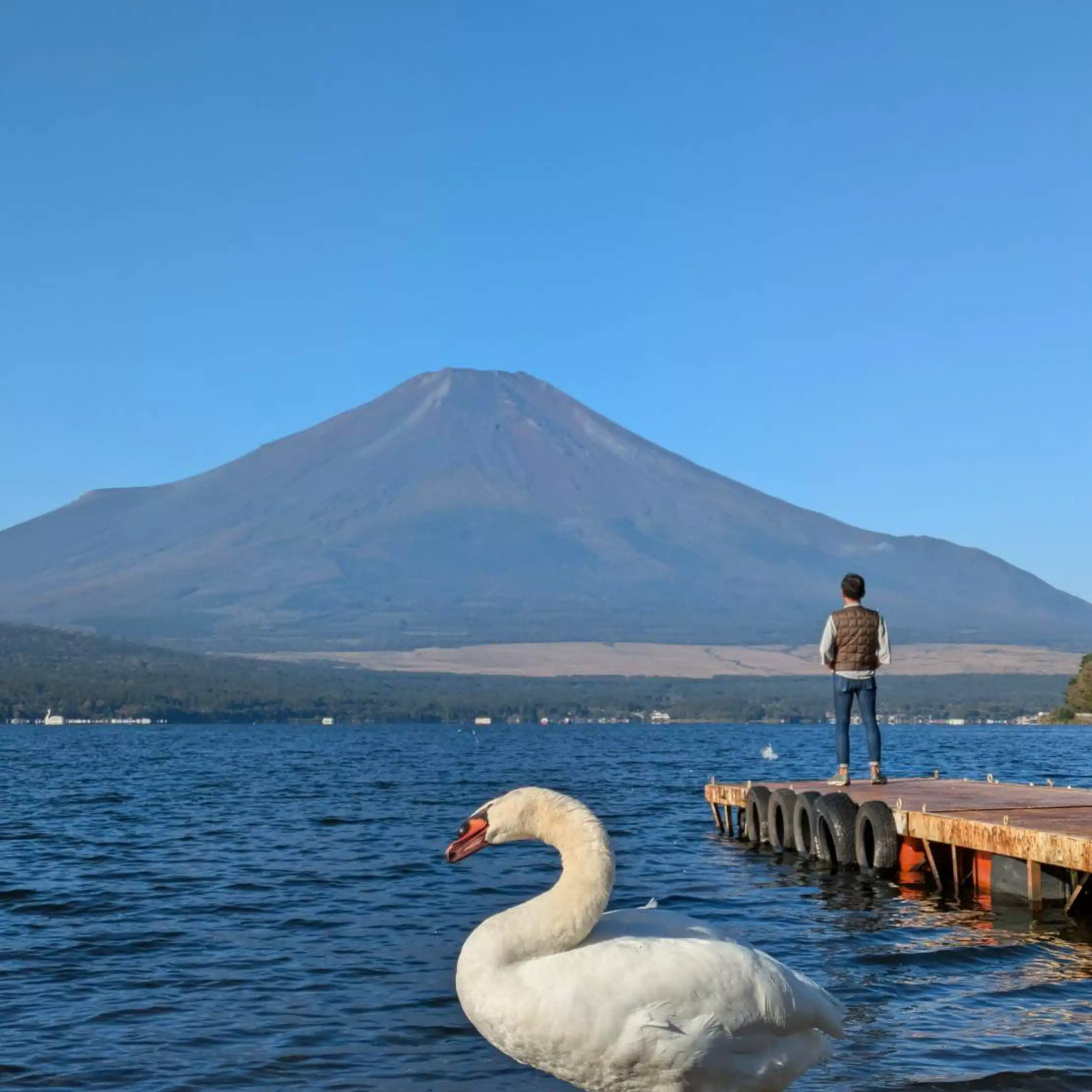葉山 廉