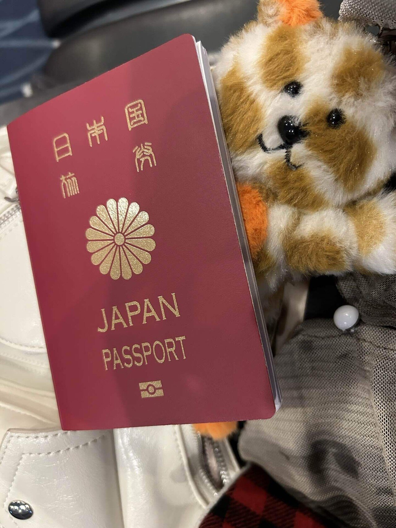 弾丸渡韓してきた話｜레이