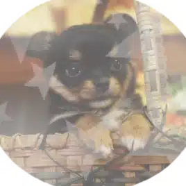 しおね