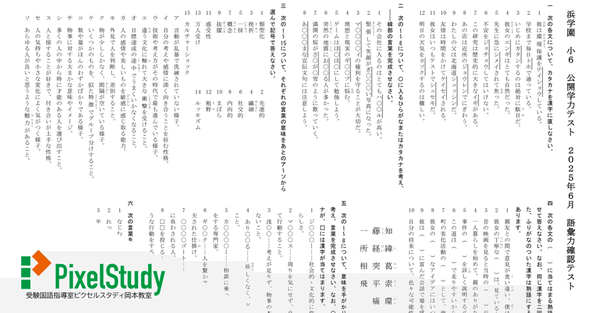 浜学園 小6 公開学力テスト ★3教科★ 2024年~2017年 8年分 浜学園 小6 公開学力テスト ☆3教科☆ 2024年~2017年 8