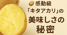 ジャガイモが作ったもの 栽培植物のリスト 「ジャガイモ」の歴史｜瀧波一誠