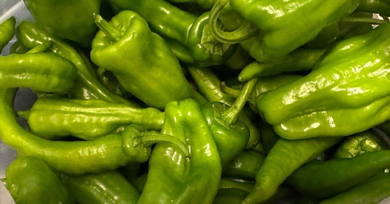 rectangle_large_type_2_042b255