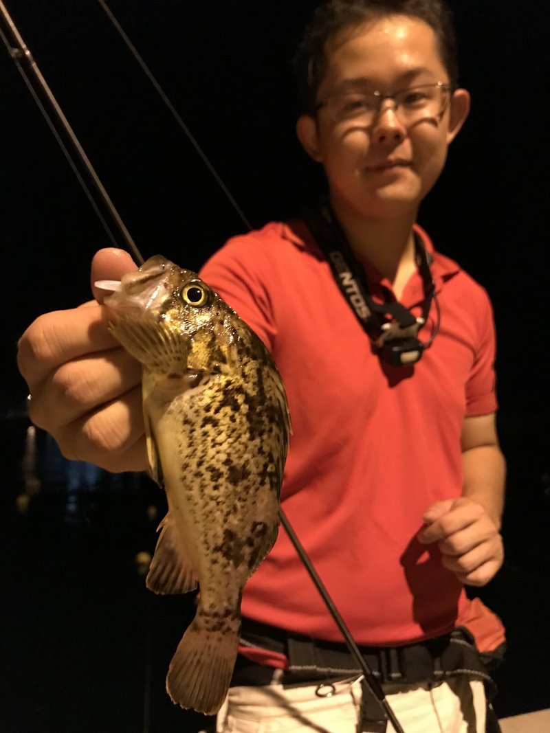 警戒心が強い魚に対応 決め手はワインド釣法 石巻days 未来都市の生き方 Note 警戒心が強い魚に対応 決め手はワインド釣法 石巻days 未来都市の生き方 Note