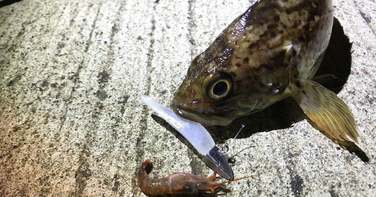 警戒心が強い魚に対応 決め手はワインド釣法 石巻days 未来都市の生き方 Note