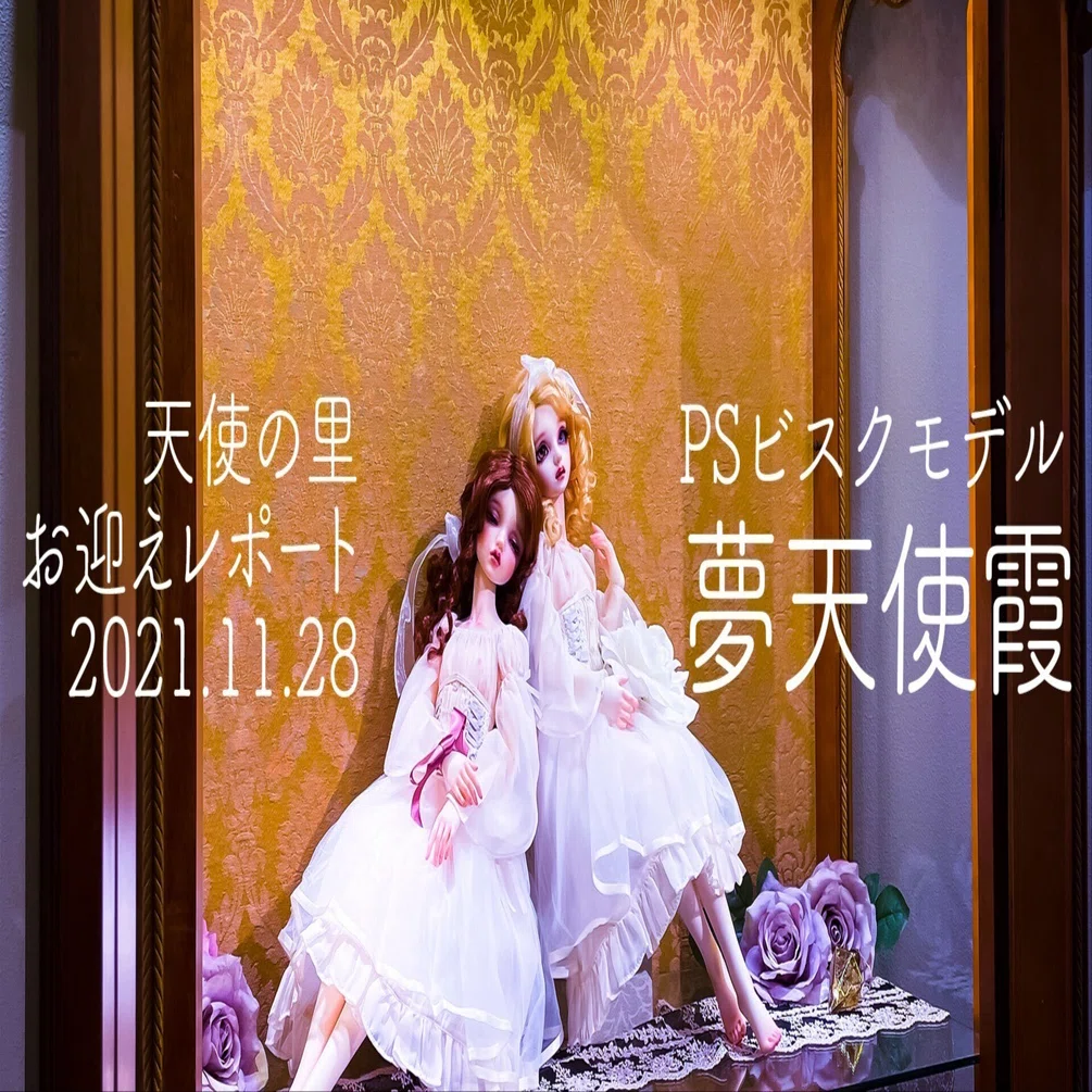 夢天使霞お迎えレポート【PSビスクモデルSDGr】天使の里｜F
