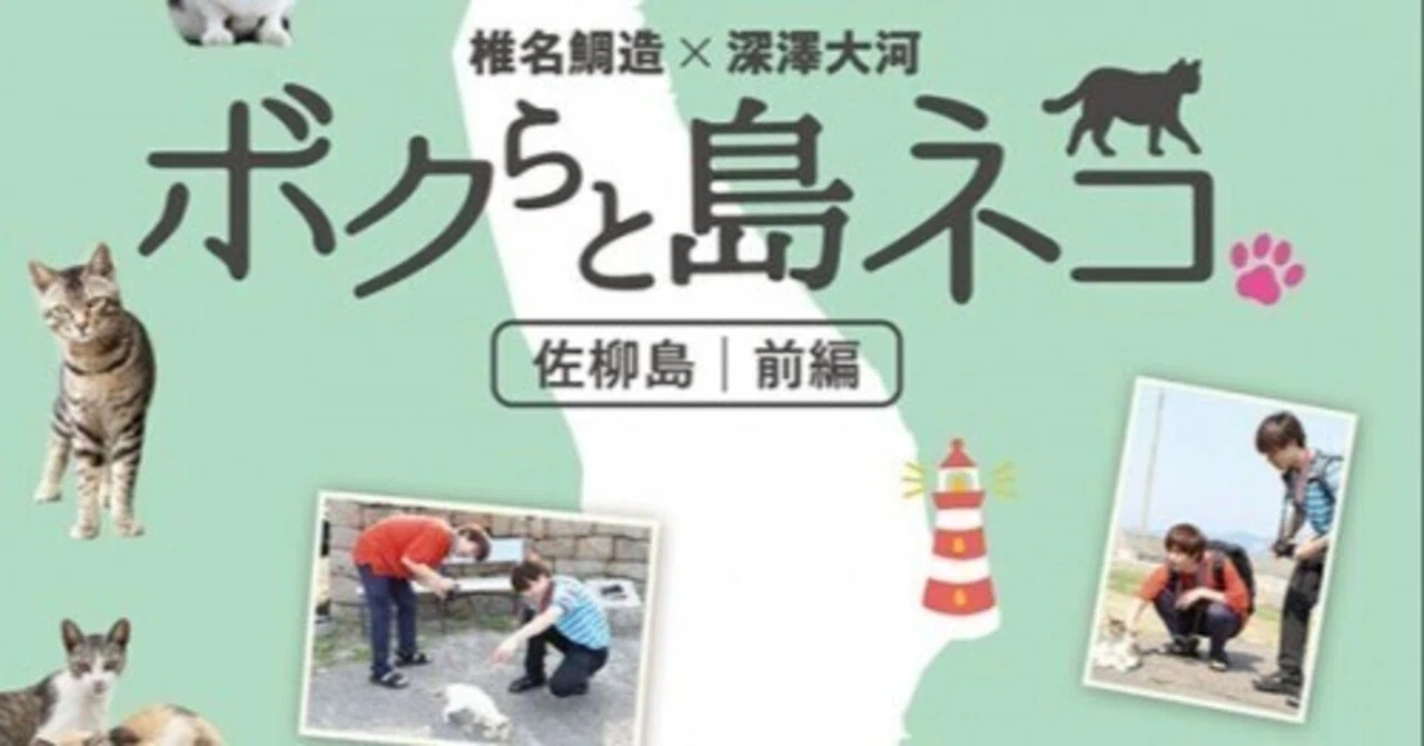ボクらと島ネコ 椎名鯛造×深澤大河 感想｜えびふくろうさん
