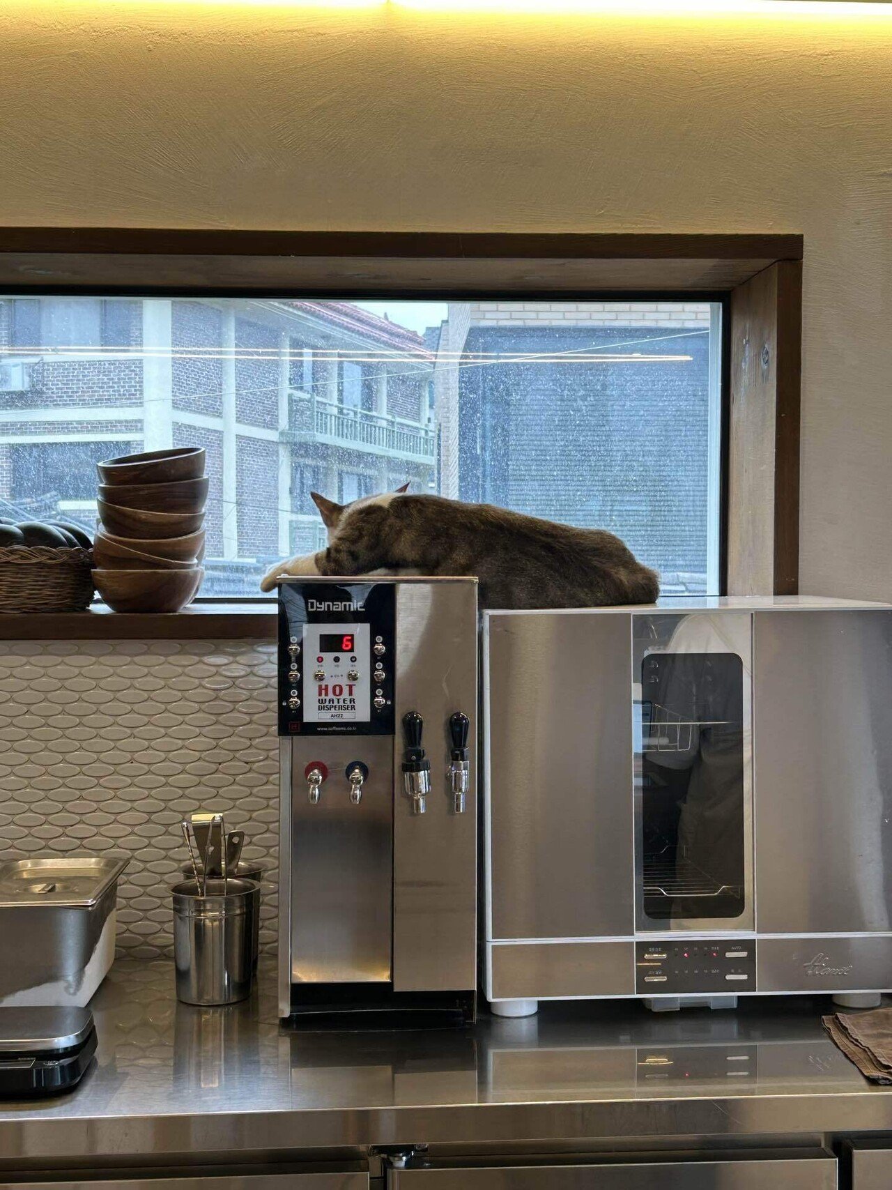 弾丸渡韓してきた話｜레이