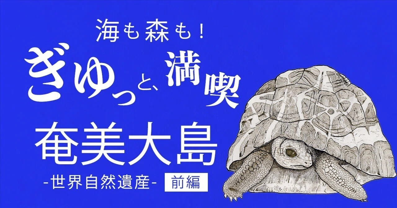 奄美旅】ぼくの夏休み2025奄美大島-前編-｜津幹 みむ＊動物たちを描く人