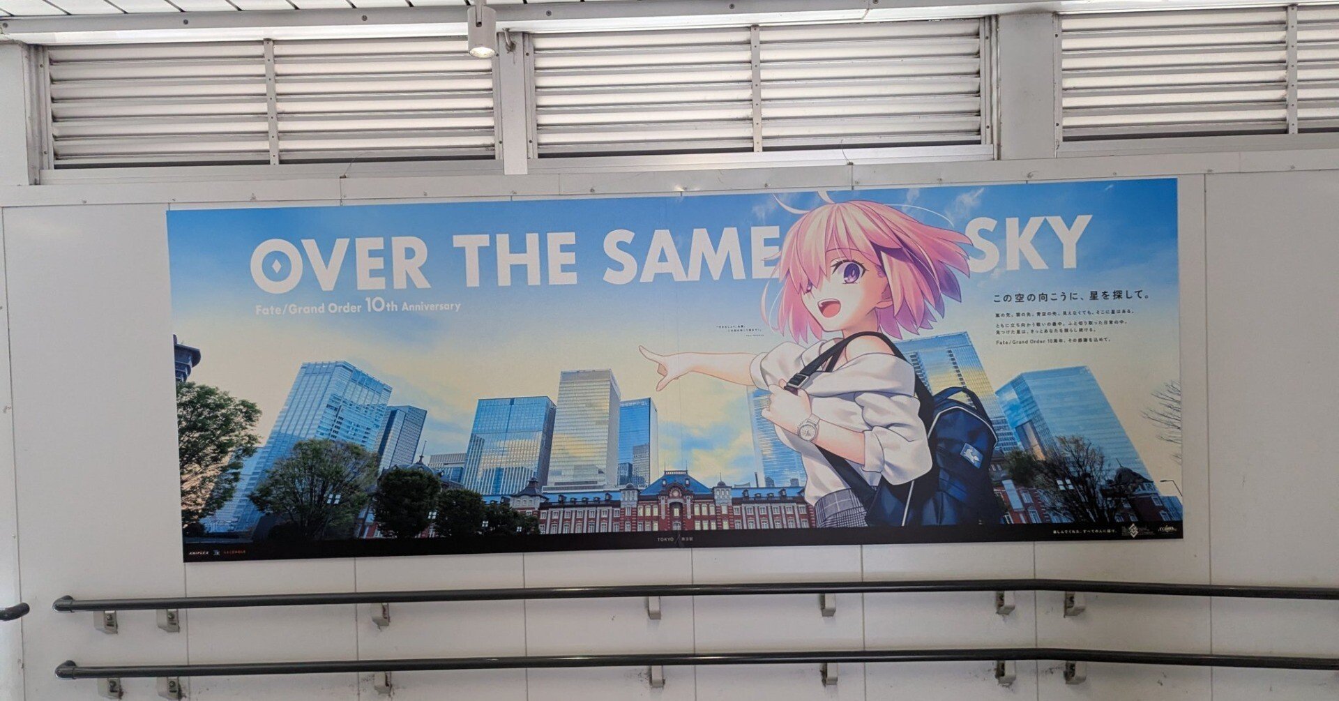 クリエイティブのバリエーション数に驚き Fate/Grand Orderの広告