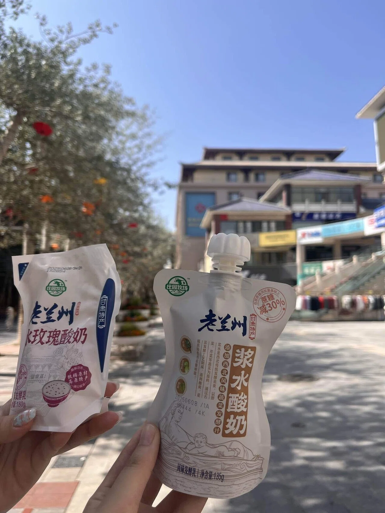 张掖敦煌🏜️留学最後の旅行に行った7️⃣敦煌莫高窟、鸣沙山月牙泉