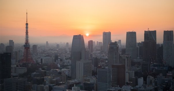 研修、入社 』｜猪鼻康幸