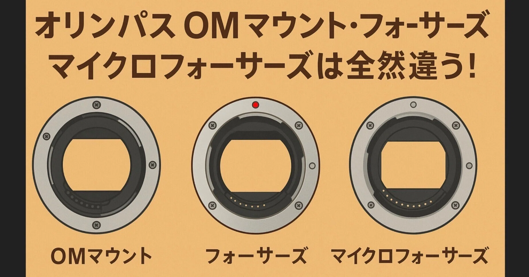 【正常動作品】オリンパス OLYMPUS マイクロフォーサーズマウント レンズ M.ZUIKO DIGITAL 14-42mm f3.5-5.6 OLYMPUS オリンパス レンズ SYSTEM 完全解説オリンパスOMマウント・フォーサーズ・マイクロフォー MSC
