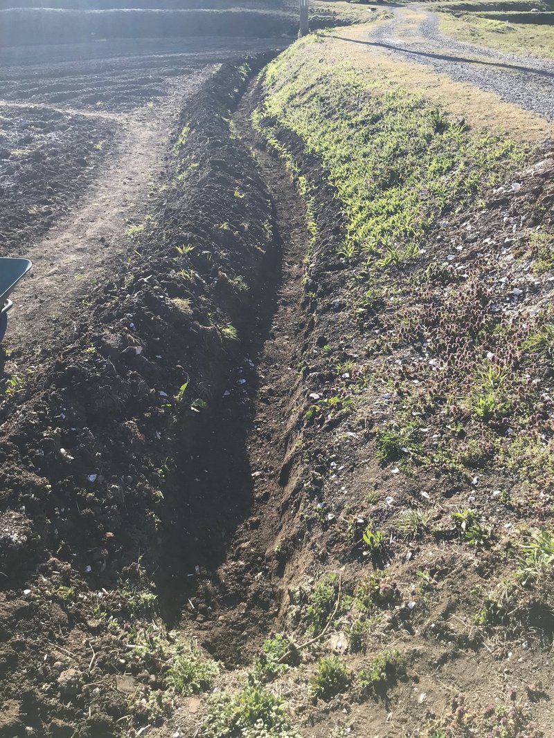 田んぼ 休耕田 を畑にする方法 Muna Farm 無農薬自給自足 Note 田んぼ 休耕田 を畑にする方法 Muna Farm 無農薬自給自足 Note