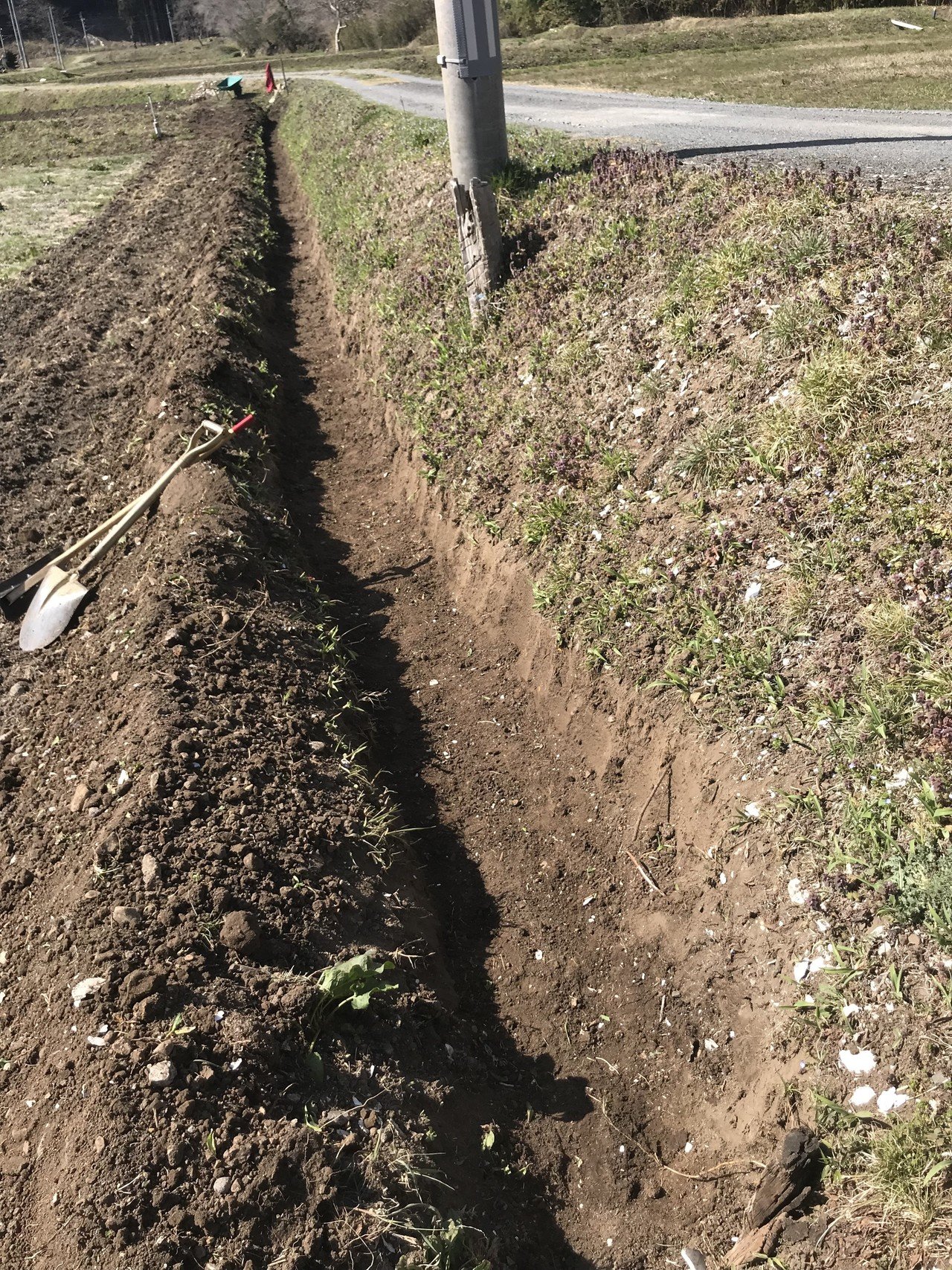 田んぼ 休耕田 を畑にする方法 Muna Farm 無農薬自給自足 Note