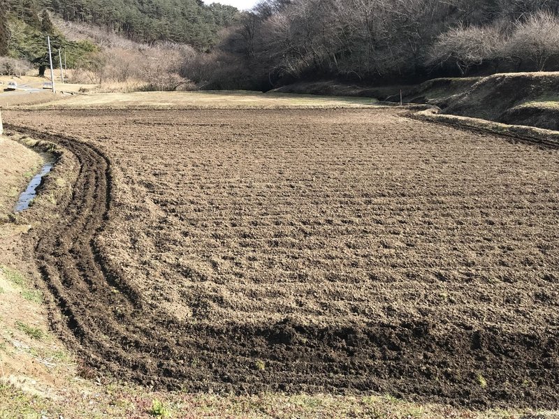 田んぼ 休耕田 を畑にする方法 Muna Farm 無農薬自給自足 Note 田んぼ 休耕田 を畑にする方法 Muna Farm 無農薬自給自足 Note