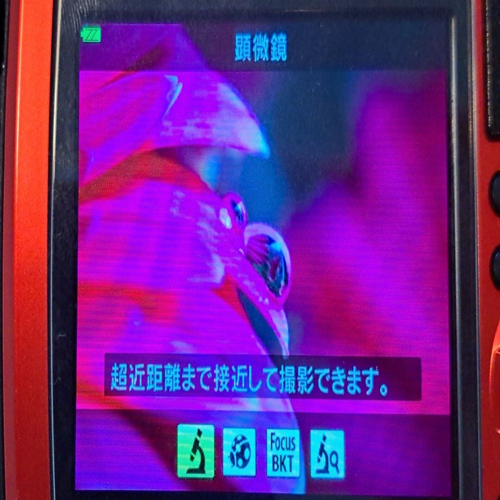 📷TG-5の顕微鏡モード検証報告｜GR宮前