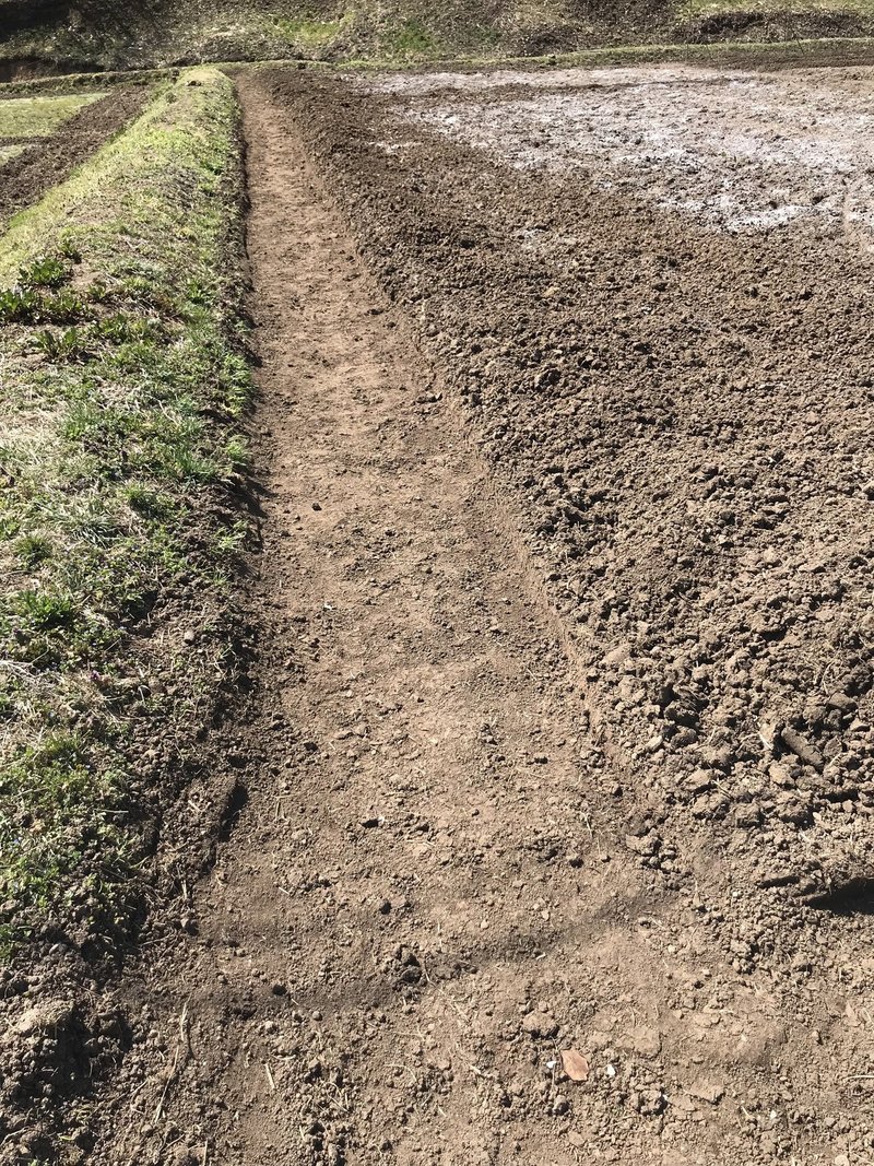 田んぼ 休耕田 を畑にする方法 Muna Farm 無農薬自給自足 Note 田んぼ 休耕田 を畑にする方法 Muna Farm 無農薬自給自足 Note