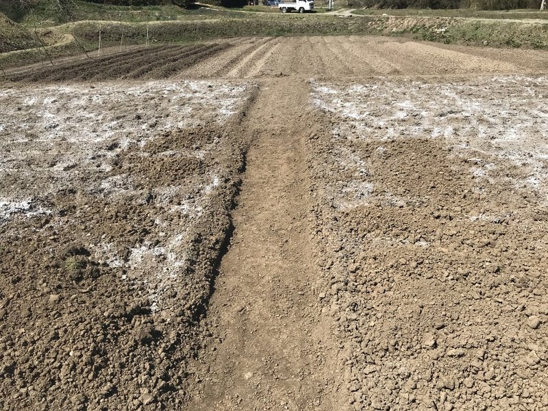 田んぼ 休耕田 を畑にする方法 Muna Farm 無農薬自給自足 Note 田んぼ 休耕田 を畑にする方法 Muna Farm 無農薬自給自足 Note