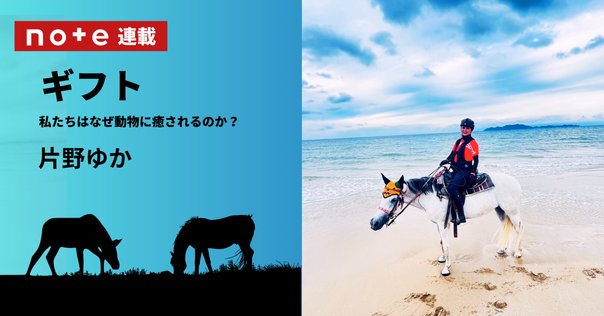 馬の瞳を見つめて(増補版)23｜渡辺はるみ