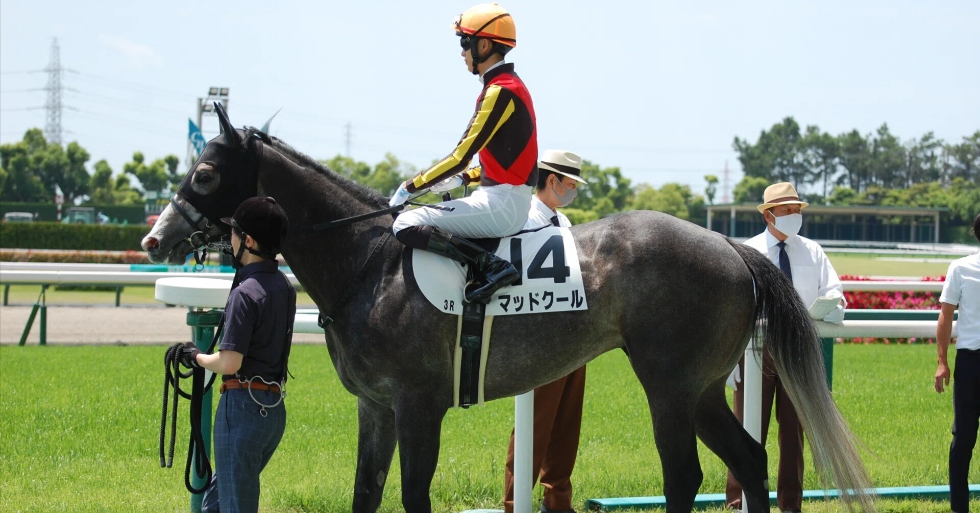 サンデーサラブレッドクラブ 2025募集馬(2024年産)AI馬体診断｜Koji Maeda