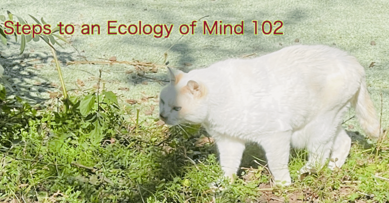 ベイトソンに試される 102 -『精神の生態学へ』第1篇 メタローグ