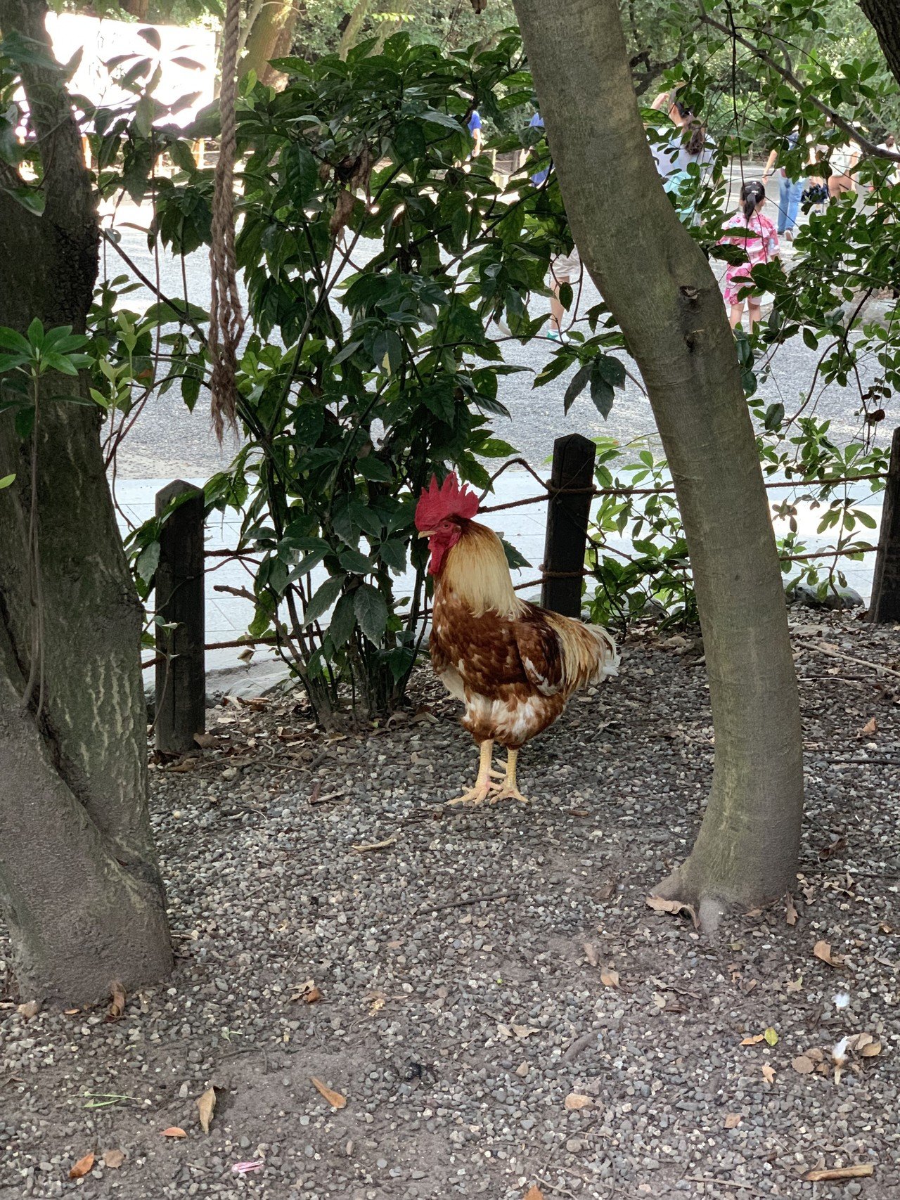 名古屋の思い出 チャンキー Note