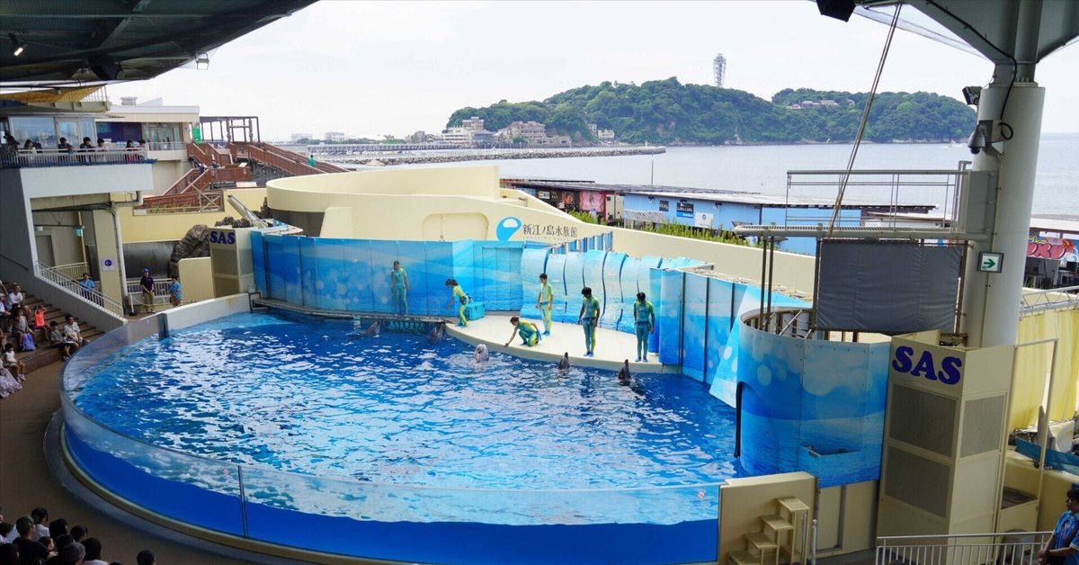 パラパラシネマ・水族館 1ラッコちゃん 2ネコとタコ　多田ヒロシ著　初版本集文社 たちまち重版!!】かわいらしい姿から野生の生態まで今のラッコの