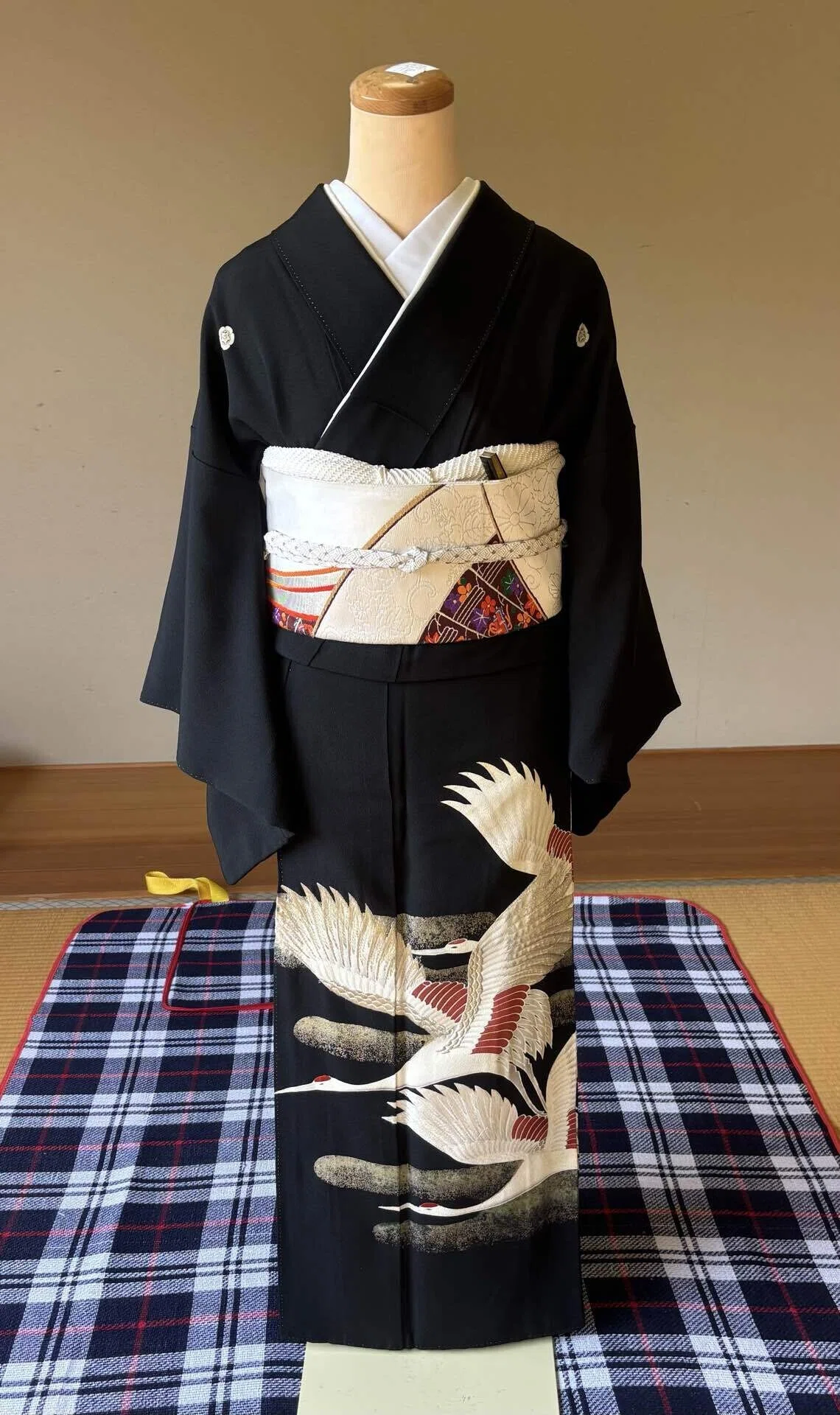 Fixed-Point Observation♡ Learning and Insights from a Kimono Dressing ...