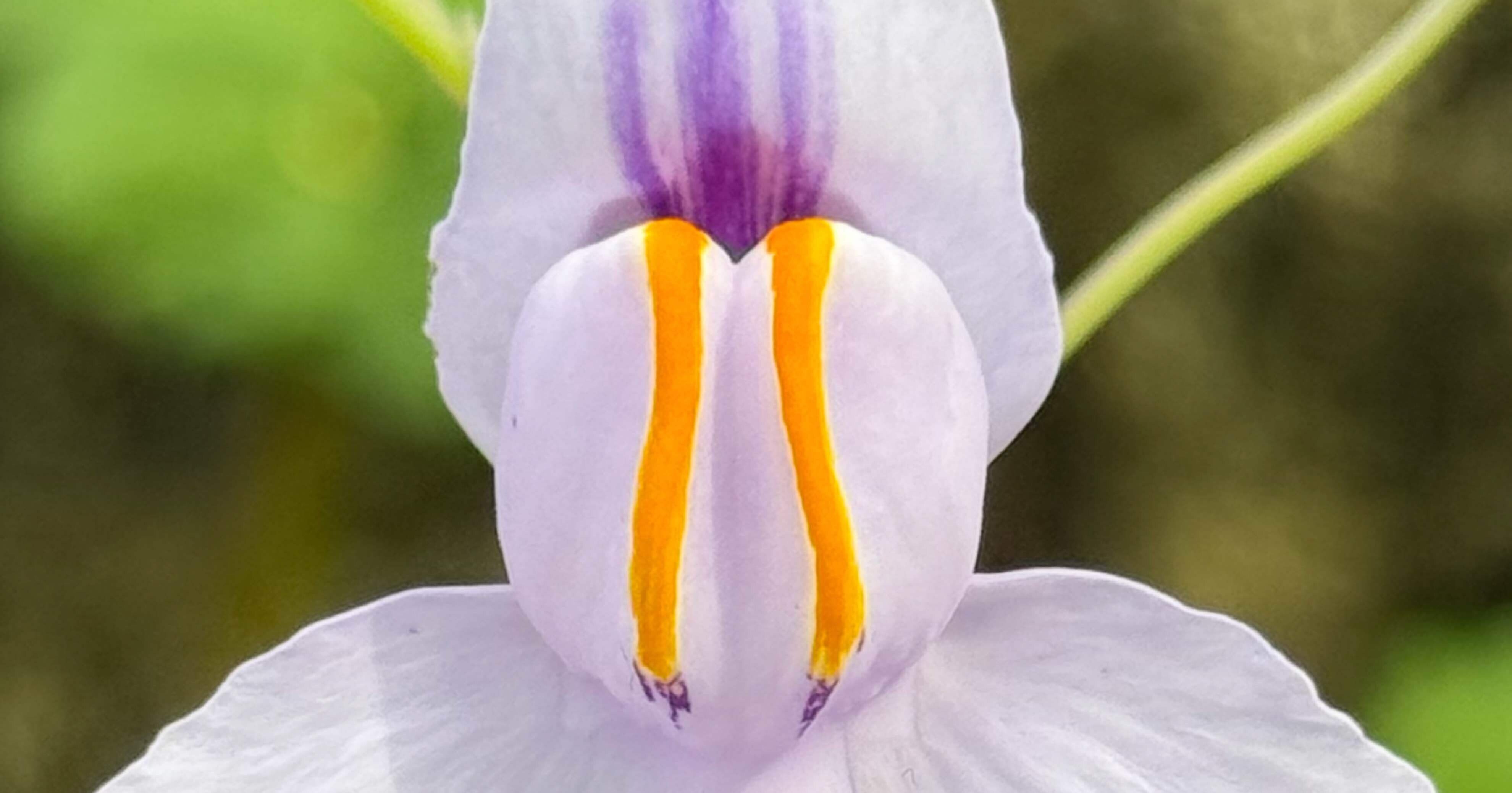 eb329d8b332bbc3eb2d978f9973e03