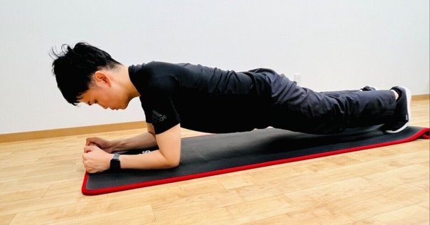 運動器の書籍紹介〜Center of the body 体幹の謎を探る｜メディ